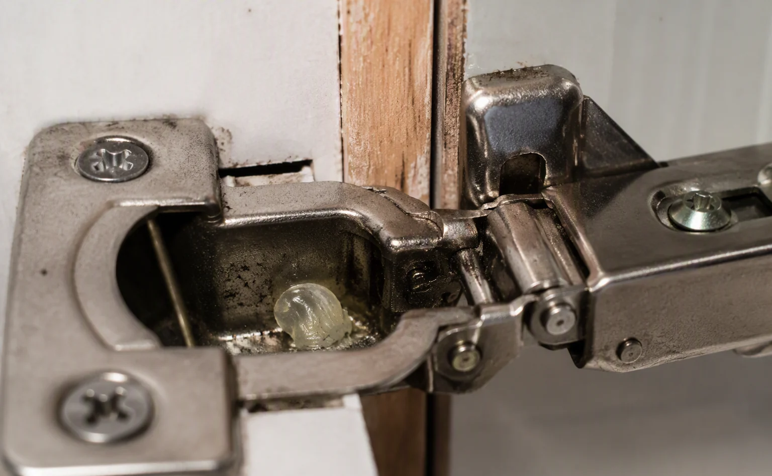 General pest control treatment at a Baton Rouge home