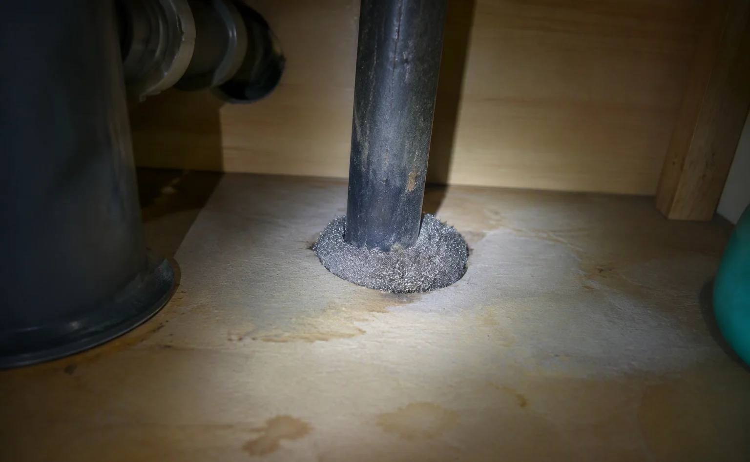 Rodent control and rat removal in a Baton Rouge attic